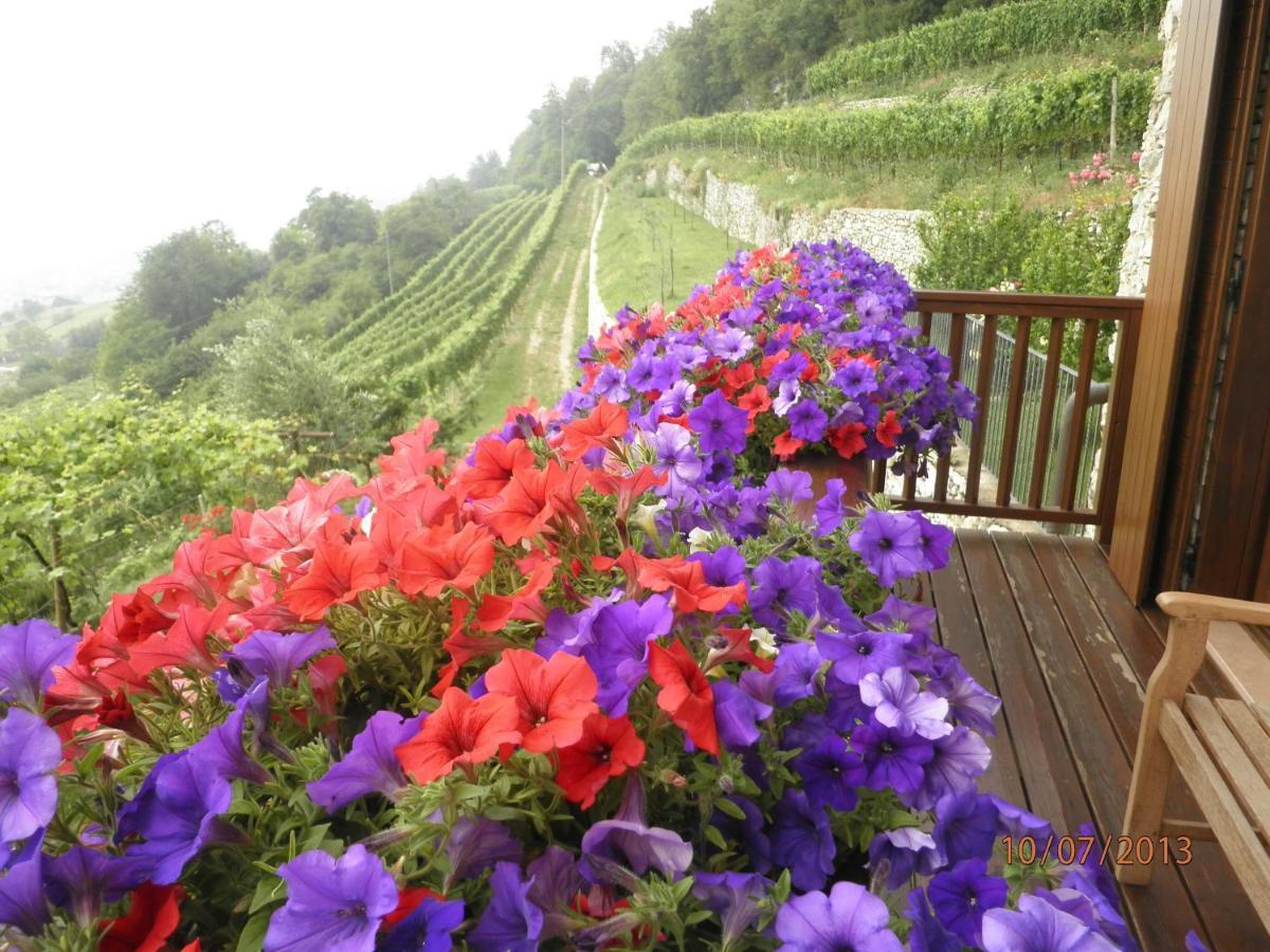 B&B Al Ghiro Villa Lagarina Rom bilde